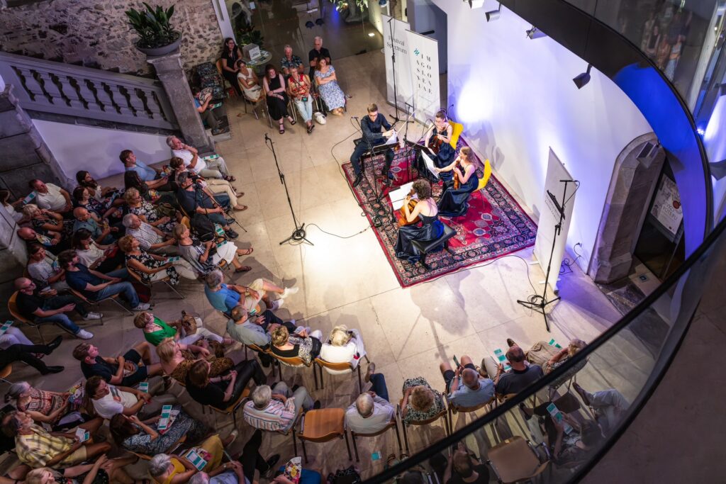 Nikola Pajanović – Violinist